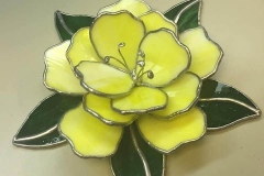 Elise-Andersen-yellow-flower