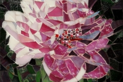 Julie_Mazzoni_Peony