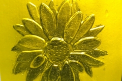 Lisa_Valigursky_sunflower